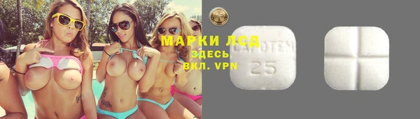 стаф Абинск