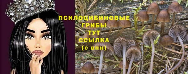 ГАЛЛЮЦИНОГЕННЫЕ ГРИБЫ Медвежьегорск