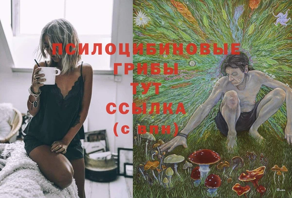 таблы Медногорск