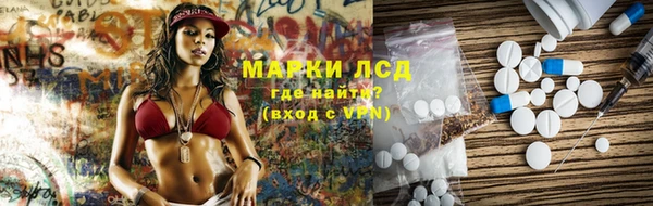ешки Корсаков