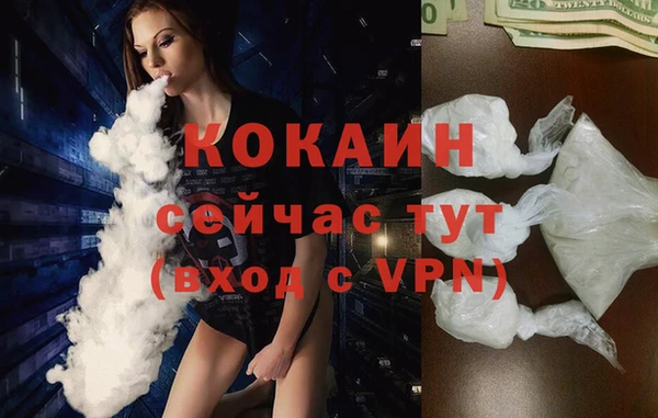 стаф Абинск