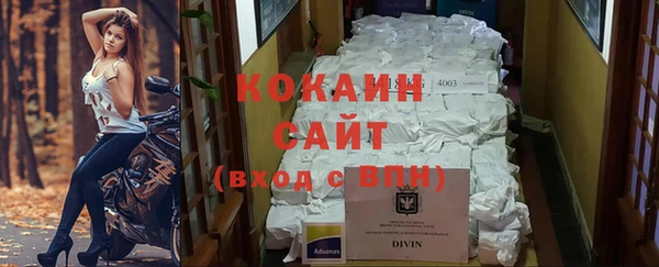стаф Абинск