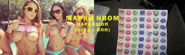 стаф Абинск